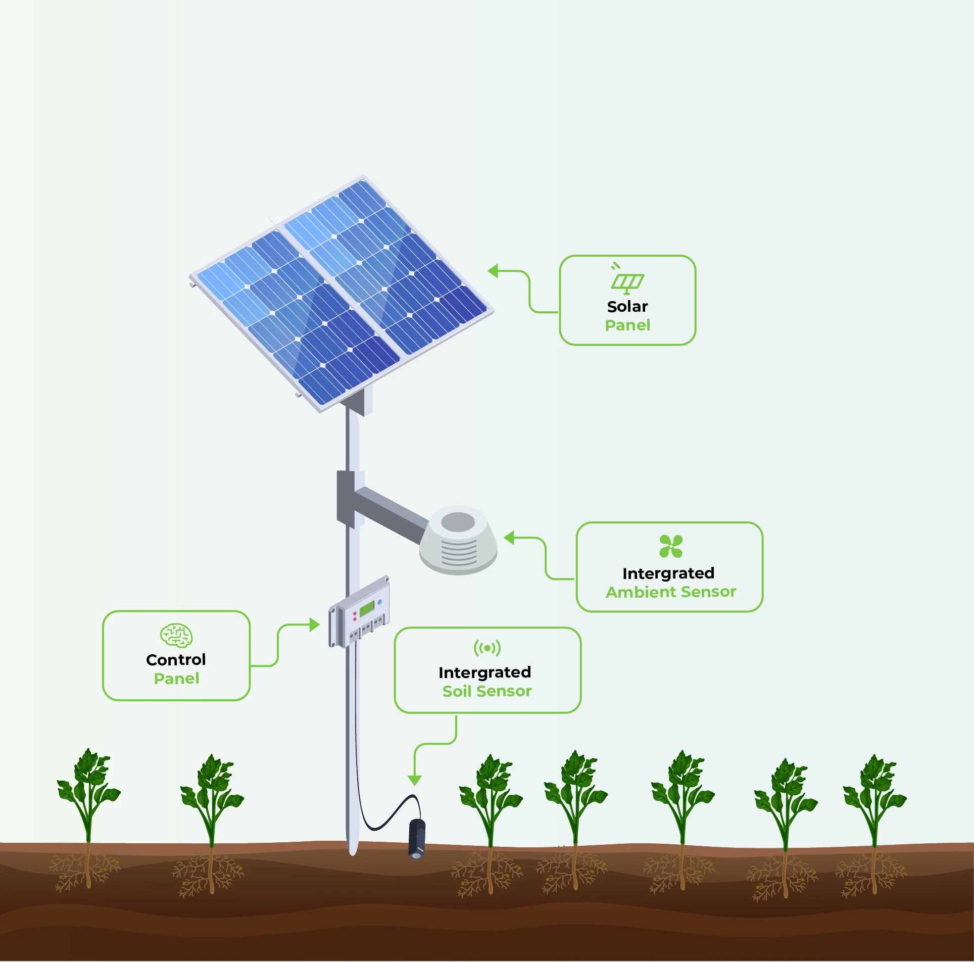 Illustration of the irrigation process